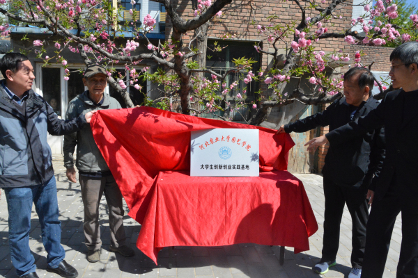 DSC_3937_编辑.jpg DSC_3937_编辑.jpg
