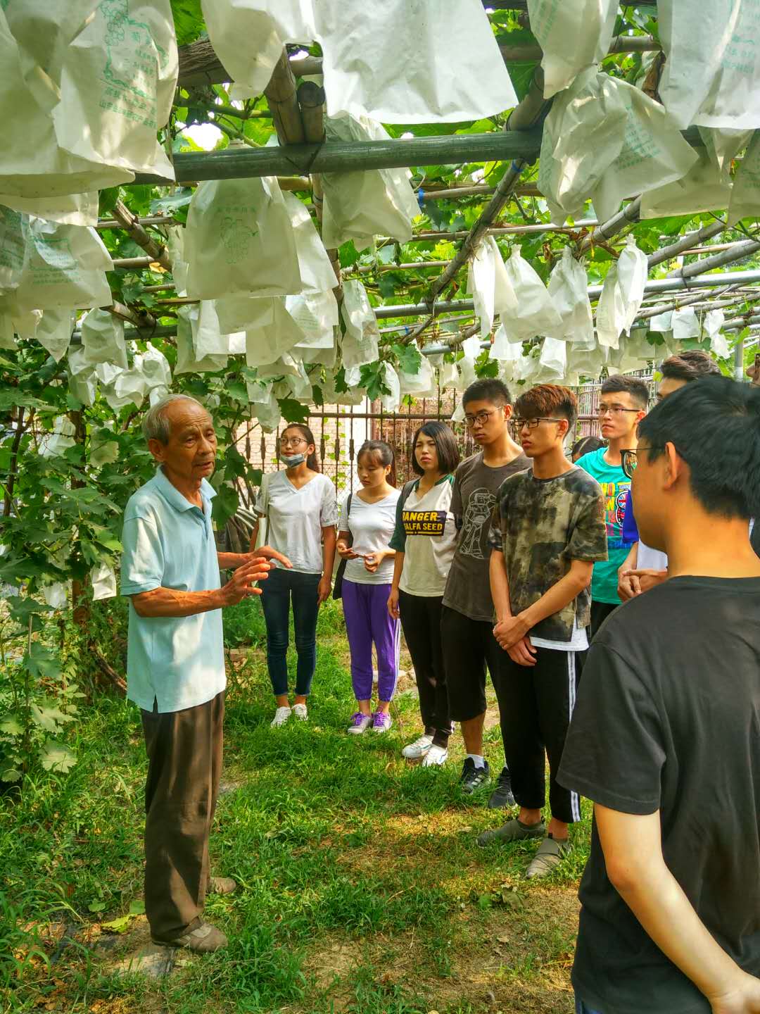 微信图片_20180627095538.jpg 微信图片_20180627095538.jpg