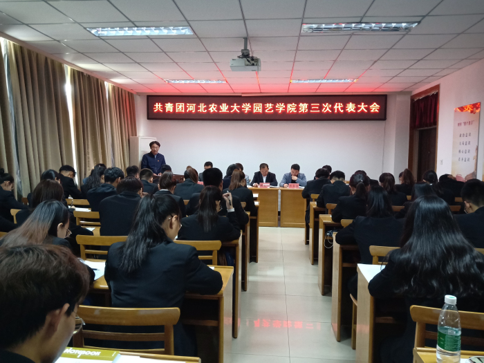 5.左永强同志作团委工作报告.jpg 5.左永强同志作团委工作报告.jpg
